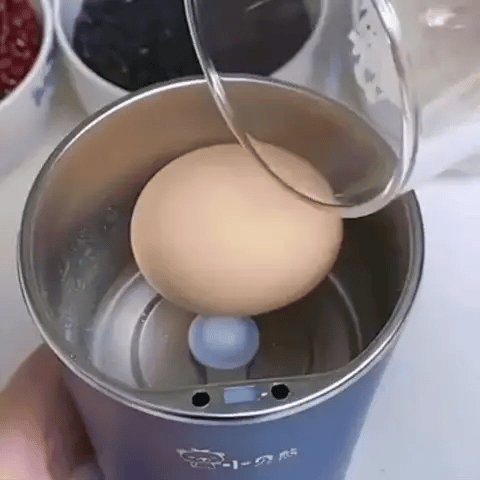 Mini Electric Grinder